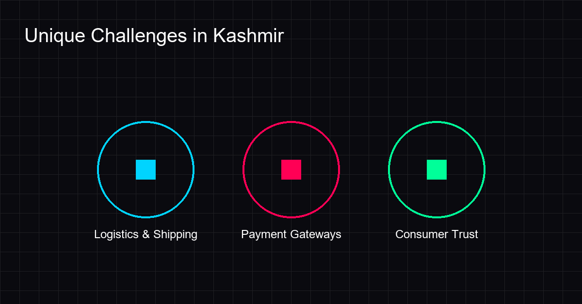 Infographic showing unique ecommerce challenges in Kashmir like logistics and payments